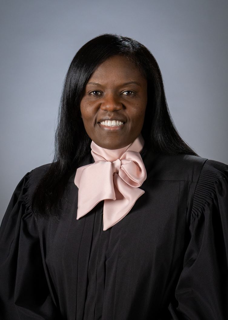 Cynthia Adams Robe image