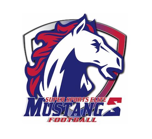 Super Sports Elite Football - Deer Lick Park Image